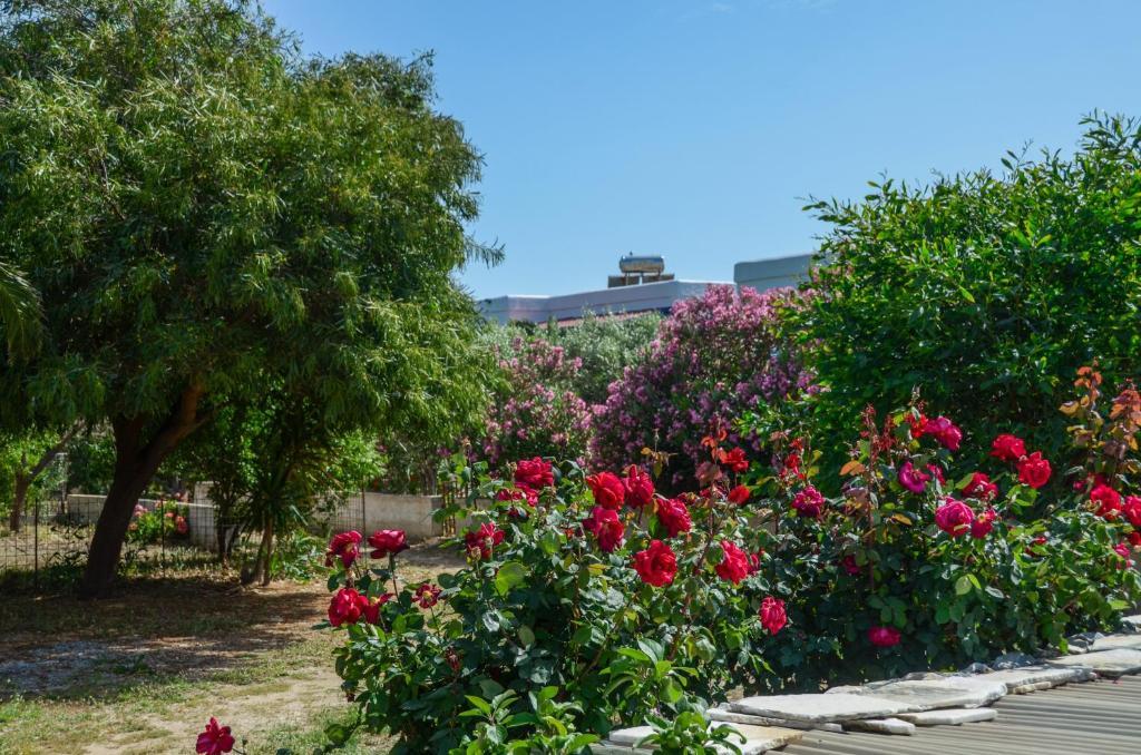 Golden Beach Glyfada Apartments Kastraki  Екстер'єр фото